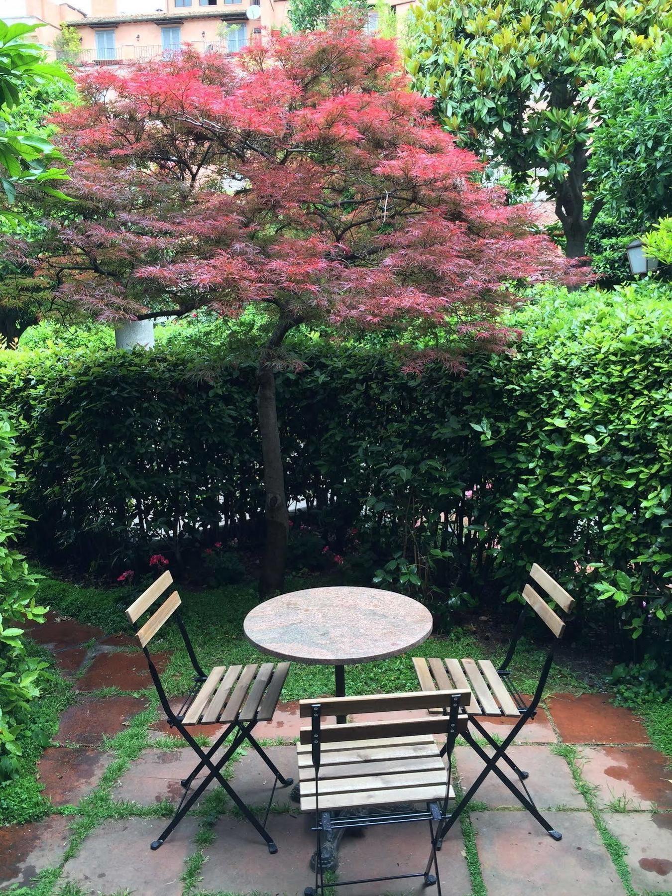 Appartamento Garden Palatino Roma Dış mekan fotoğraf